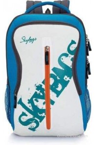 Skybags Punch 2.5 L Medium Laptop Backpack(Tarmac, Size - 180)